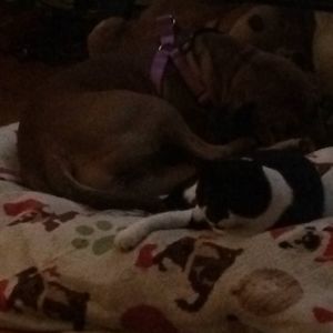 Meet your Posher, Amber